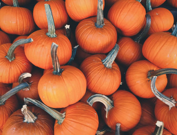 Celebrate Halloween with us: Italian treats for all tastes!