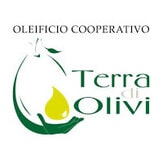 Terra di Olivi