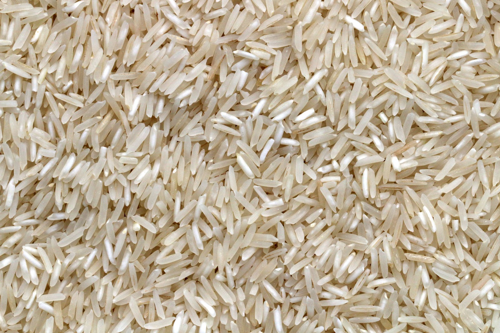 Italian rice gluten free 